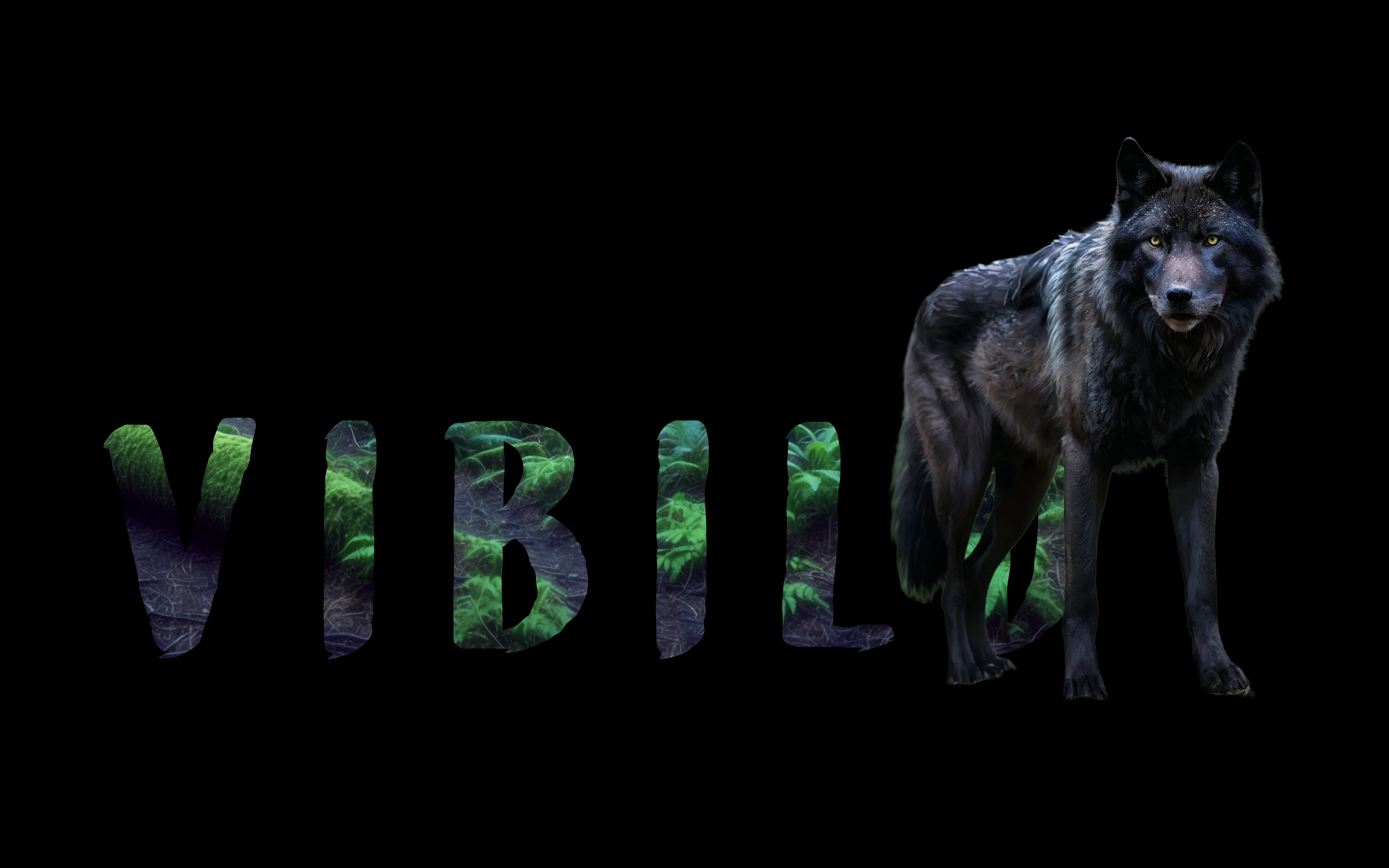 digital16