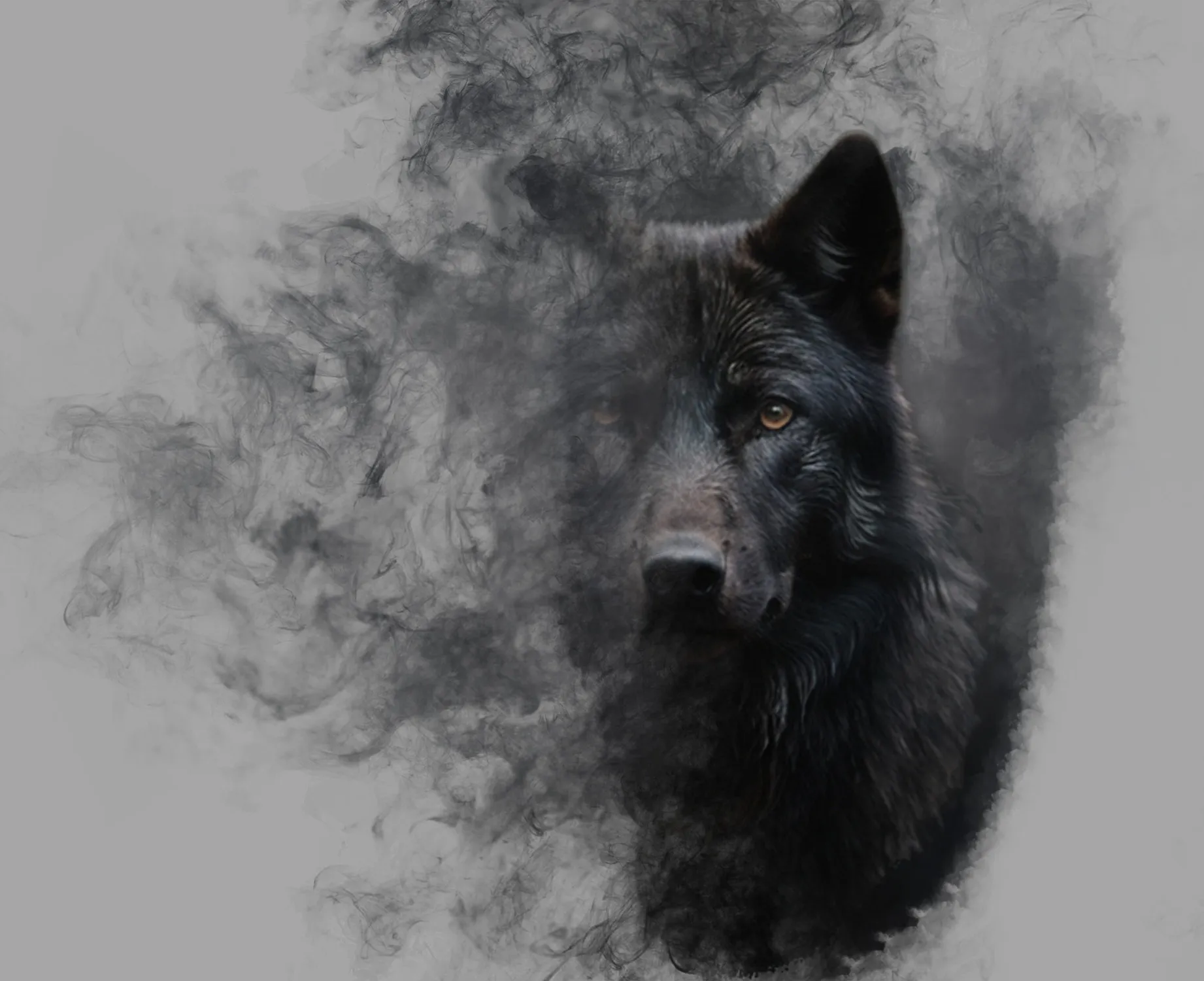 digital18
