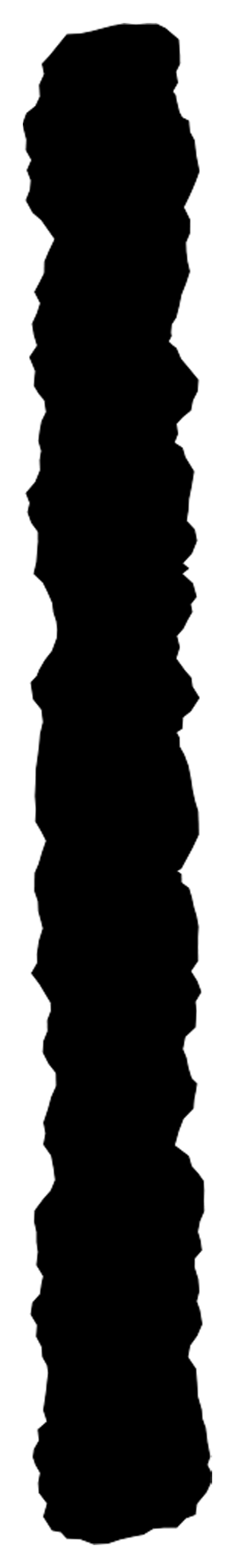 Íss / Isa